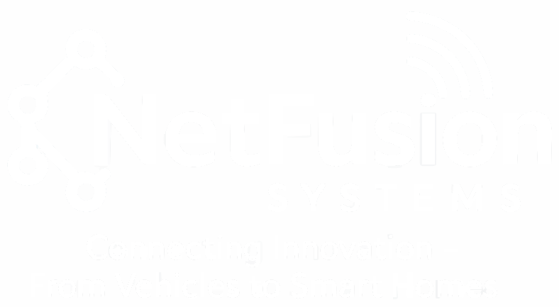NetFusion Systems — Connecting Innovation